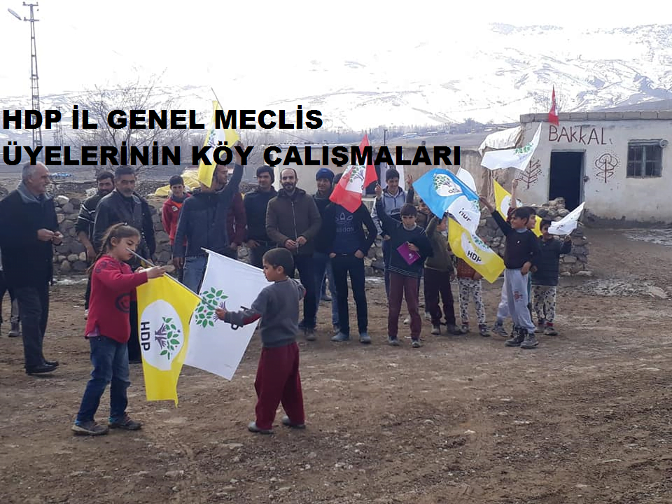 HDP DOĞUBAYAZIT İL GENEL MECLİS ÜYELERİNİN KÖY ÇALIŞMALARI