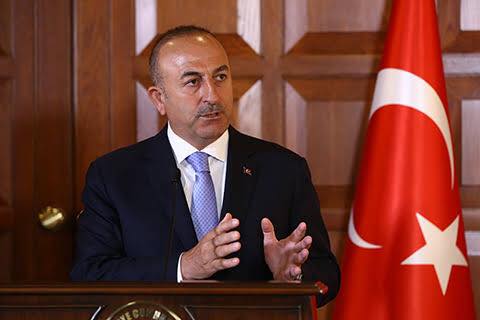 Dışişleri Bakanı Çavuşoğlu Ağrı'da