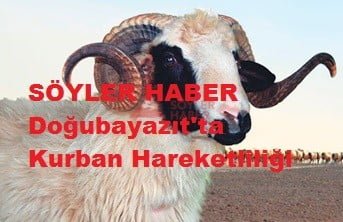 Doğubayazıt'ta Kurban Hareketliliği