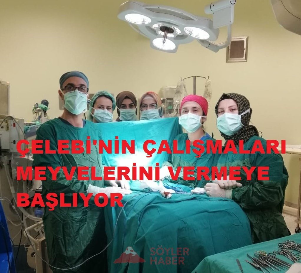 ÇELEBİ'NİN ÇALIŞMALARI MEYVELERİNİ VERMEYE BAŞLIYOR