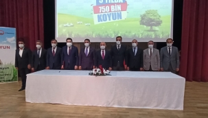 Ağrı'da Herkese Bir Küçükbaş Hayvan Projesi