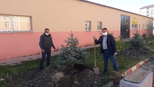 Ağrı'da öğretmenler okul bahçelerinde fidanları toprakla buluşturuyor