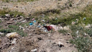 DOĞUBAYAZIT'DA DERE YATAĞINDA UYUŞTURUCU