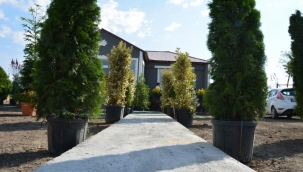 YEŞİL AĞRI HAYALİNİ GERÇEKLEŞTİRECEK