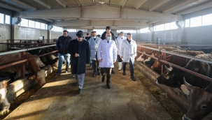 ​​​​​​​VALİ VAROL, BESİ ÇİFTLİĞİNİ ZİYARET ETTİ.