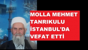 MOLLA MEHMET TANRIKULU VEFAT ETTİ