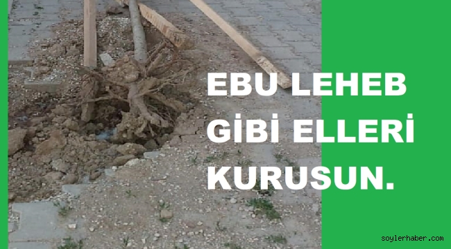 AĞAÇ KIRANLARIN ELLERİ KURUSUN