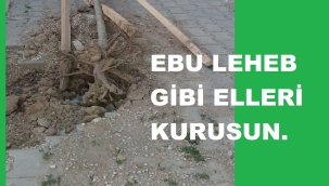 AĞAÇ KIRANLARIN ELLERİ KURUSUN