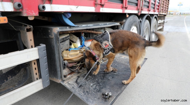 Ağrı'da Narkotik Suçlarla Mücadelede 5 Ayda 25 Milyon TL Değerinde Uyuşturucu Ele Geçirildi