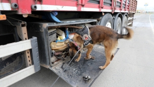 Ağrı'da Narkotik Suçlarla Mücadelede 5 Ayda 25 Milyon TL Değerinde Uyuşturucu Ele Geçirildi