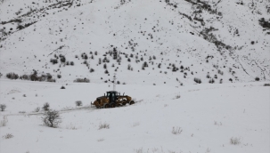 Ağrı'da kar ve tipi nedeniyle kapanan köy yollarının tamamı ulaşıma açıldı.