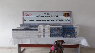 397 ADET KESİLMİŞ İNSAN SAÇI ELE GEÇİRİLDİ