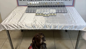 DOĞUBAYAZIT'TA KAÇAK SİGARA ELE GEÇİRİLDİ 