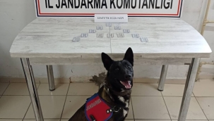 Gümrük Kapısında şüpheli bir İranlı'dan uyuşturucu hap ele geçirildi 