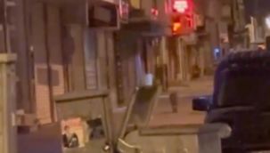 DOĞUBAYAZIT ÇARŞI CADDESİNDE KURT DOLAŞIYOR.