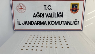 Doğubayazıt ve Taşlıçay ilçesinde tarihi eser yakalandı 