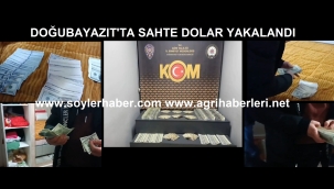  Doğubayazıt ilçesinde bir evde sahte dolar ele geçirildi.