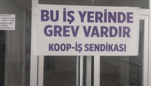 Doğubayazıt'ta SYDV Personeli Greve Çıktı: "Vatandaş İçeri Alınmıyor"