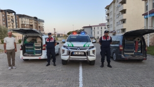 Doğubayazıt'ta Büyük Operasyon: 240 Kg Kurbağa Kaçak Avcıların Elinden Kurtarıldı