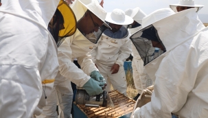 Vali Mustafa Koç ve Eşi Sinek Yaylasında Bal Hasadına Katıldı