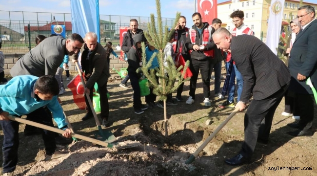 Ağrı'da Türkiye Yeşeriyor, Gazze Güçleniyor Projesi Kapsamında Fidanlar Dikildi