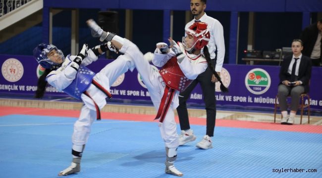 Ağrı, Taekwondo Dostluk Müsabakalarına Ev Sahipliği Yaptı