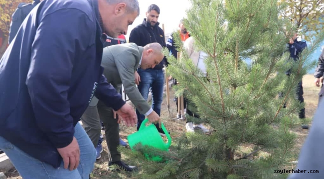 Doğubayazıt'ta Milli Ağaçlandırma Seferberliği: Fidanlar Toprakla Buluştu