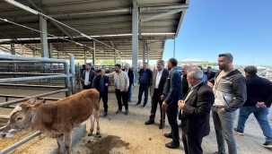 ​​​​​​​Patnos Hayvan Pazarı Esnafına Kantar Müjdesi
