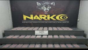 Doğubayazıt'ta TIR'da 2 Bin 500 Adet Sentetik Ecza Maddesi Ele Geçirildi