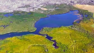 ​​​​​​​AĞRI – TENDÜREK HAVZASINDA İÇME SUYU VE HALK SAĞLIĞI: BİLİMSEL BİR UYARI VE ÇÖZÜM ÇAĞRISI