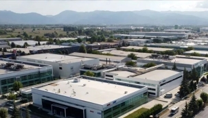 Ağrı Diyadin'de Dev Sera Projesinde 1. Etap Tamamlandı: Yıllık 8 Bin Ton Domates Üretilecek
