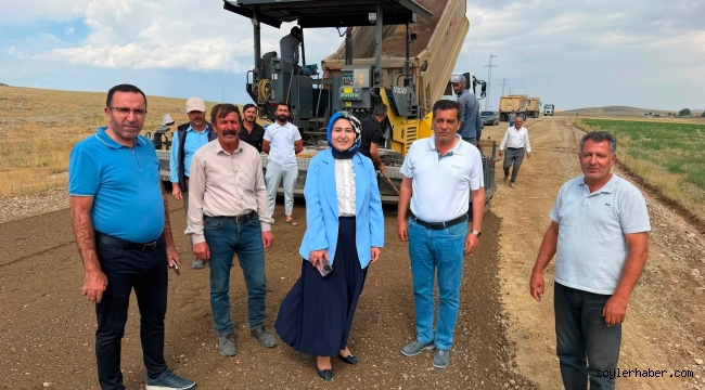 Taşlıçay'da Ulaşım ve Altyapı Seferberliği: Kaymakam Kübra Baka Kılıç Sahada