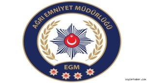 Ağrı'da Geniş Kapsamlı Güvenlik Denetimi: 34 Şahıs Yakalandı